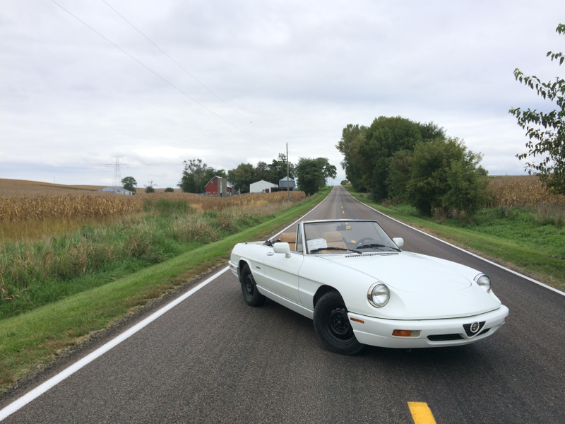 We gays love our old Italian sports cars. Pictured is my 1991 Alfa Romeo Spider.
